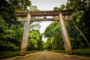 Meiji Jingu forest torii